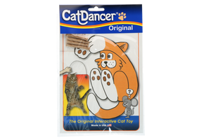 Cat Dancer