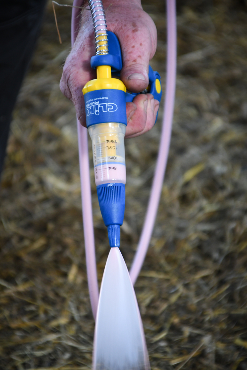 Clik 5% Pour-On REG NL URA