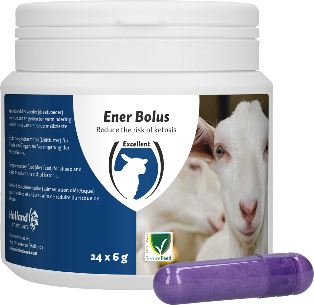 Ener Bolus Schaap &amp; Geit