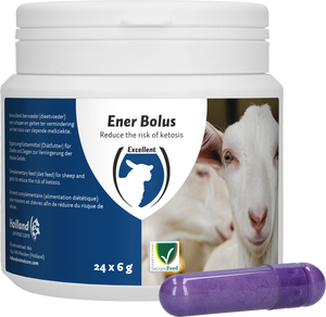 Ener Bolus Schaap &amp; Geit