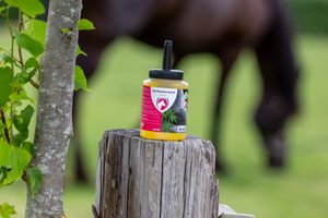 Equi HempOne Hoof Oil Natural (met kwast)