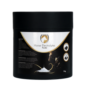 Horse Electrolytes Poeder met B2