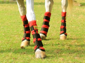 Horse Armor knockdown leg wraps one size (Insect shield)