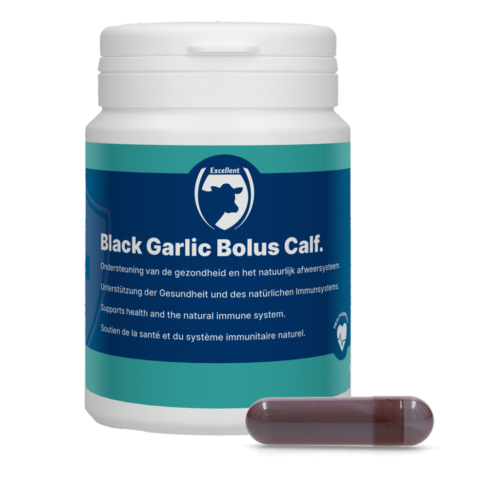 Black Garlic Bolus Calf