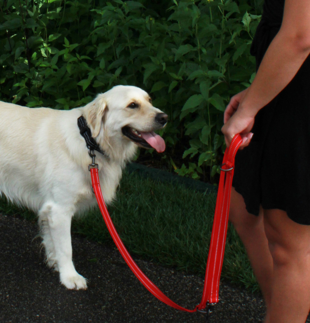 KONG Adjustable leash M Red