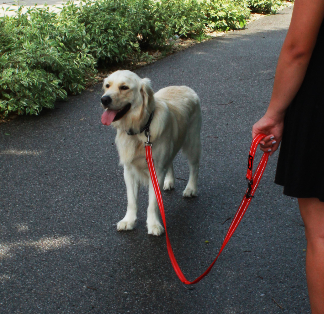 KONG Adjustable leash M Red