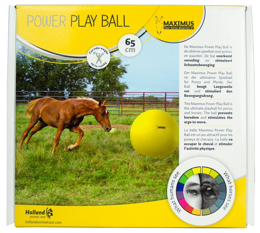 Maximus Power Play Ball 65cm