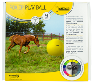 Maximus Power Play Ball 65cm