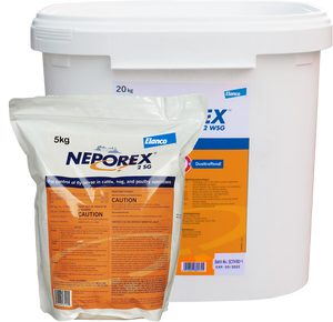 Neporex 2 WSG