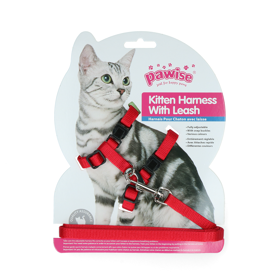 Pawise Kitten Harness Leash-Red/Blue