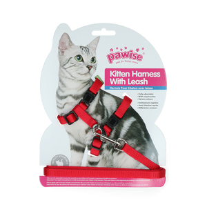 Pawise Kitten Harness Leash-Red/Blue