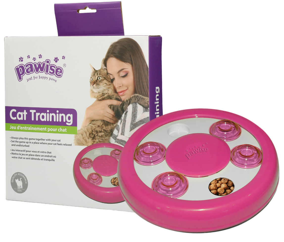 Pawise Cat Puzzle Toy