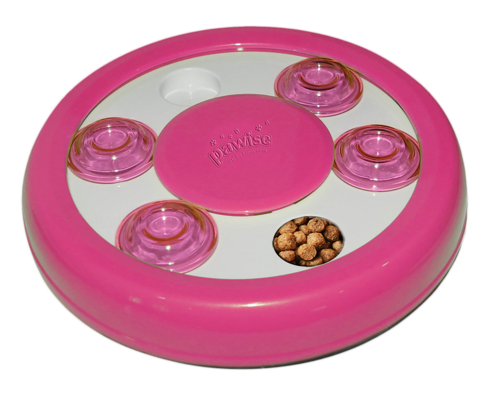 Pawise Cat Puzzle Toy