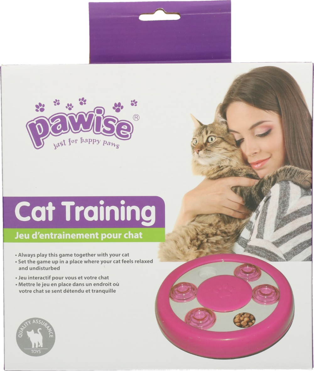 Pawise Cat Puzzle Toy