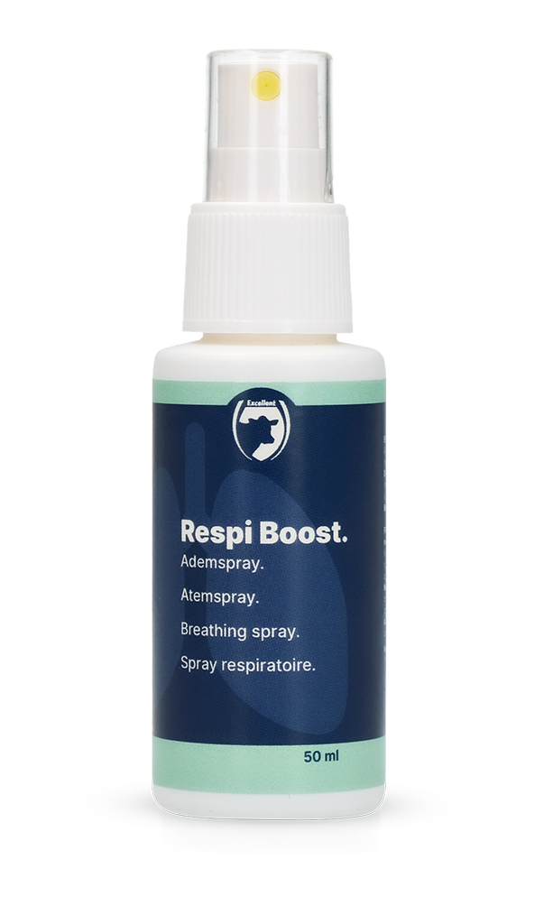 Respi Boost (Ademspray)