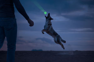 2 Glow Cracking &amp; tracking bone