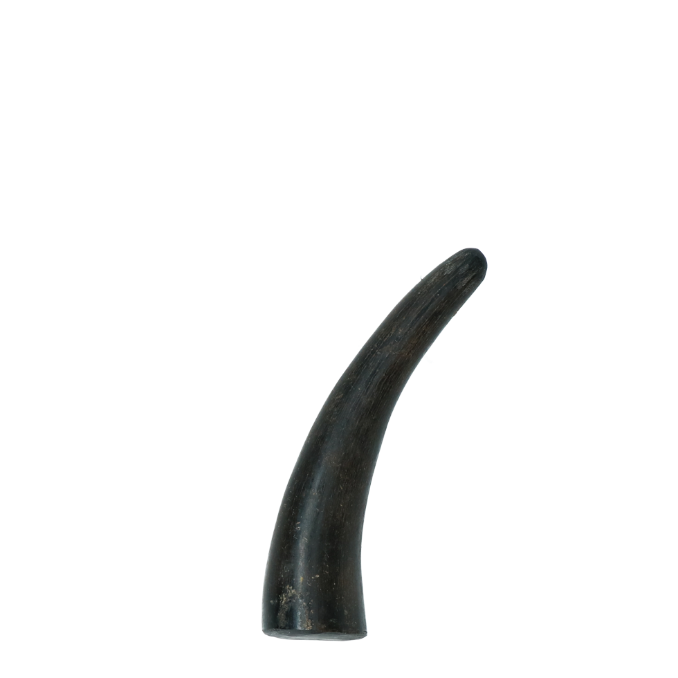 Viking whole Horn solid S