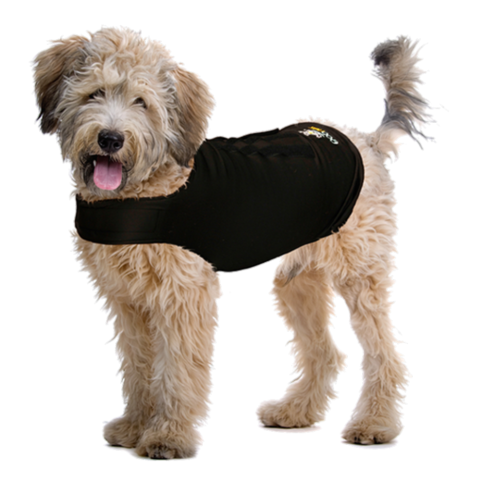 ZenDog Compression Shirt X Small