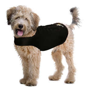 ZenDog Compression Shirt X Small