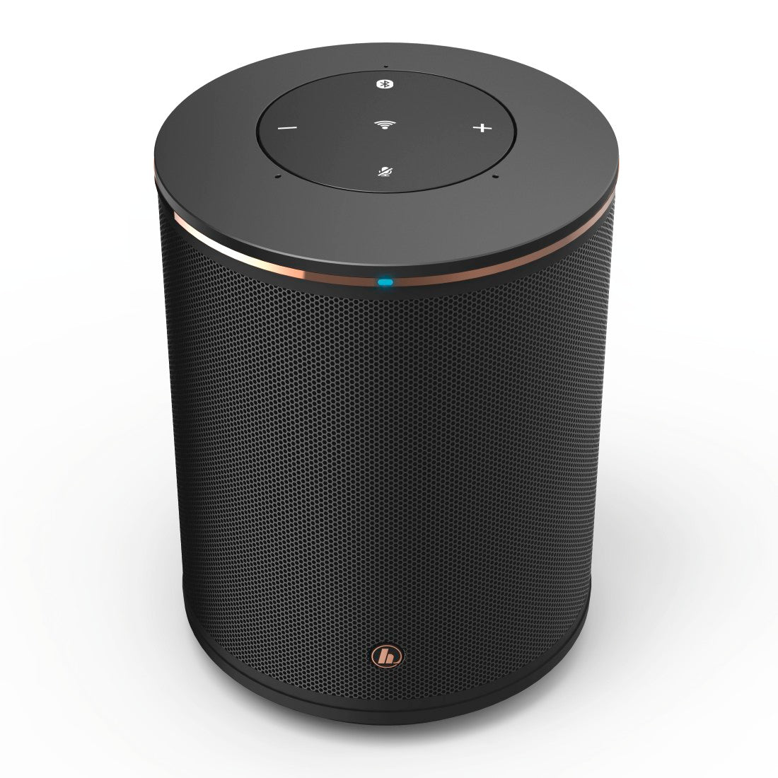 Audio Pro Connected speaker G10 met Google assistent en Airplay 2, donker
