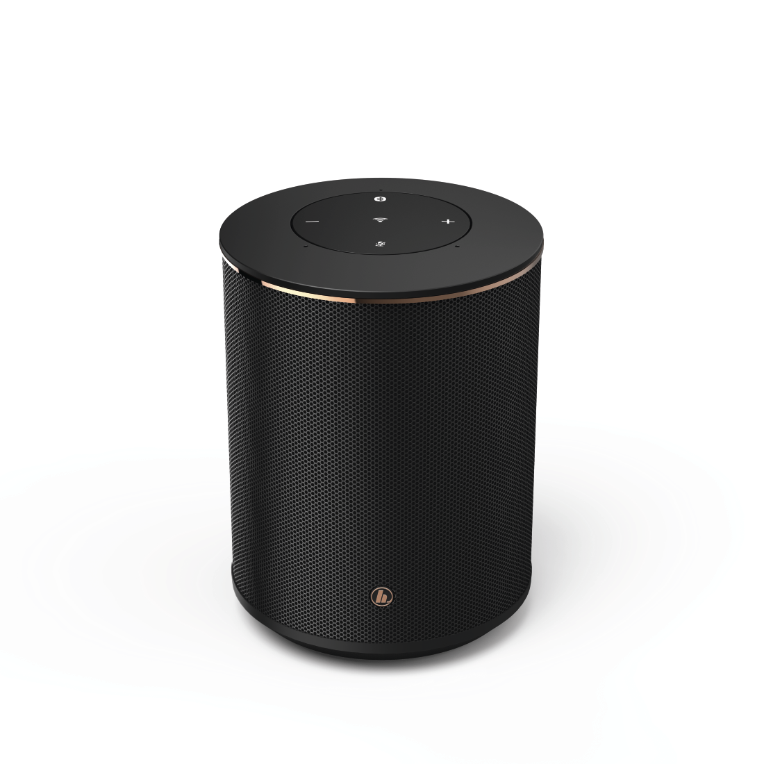 Audio Pro Connected Speaker G10 med Google Assistant och Airplay 2, Mörk