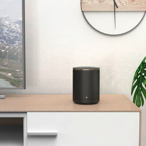 Audio Pro Connected Speaker G10 with Google Assistant and Airplay 2, Dark