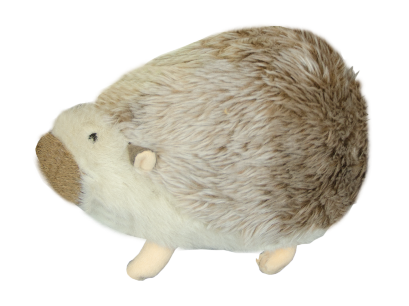 American Wild Hedgehog Small