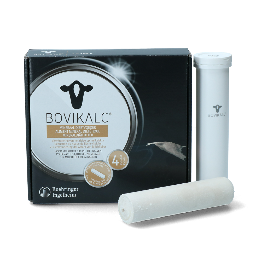 Bovikalc