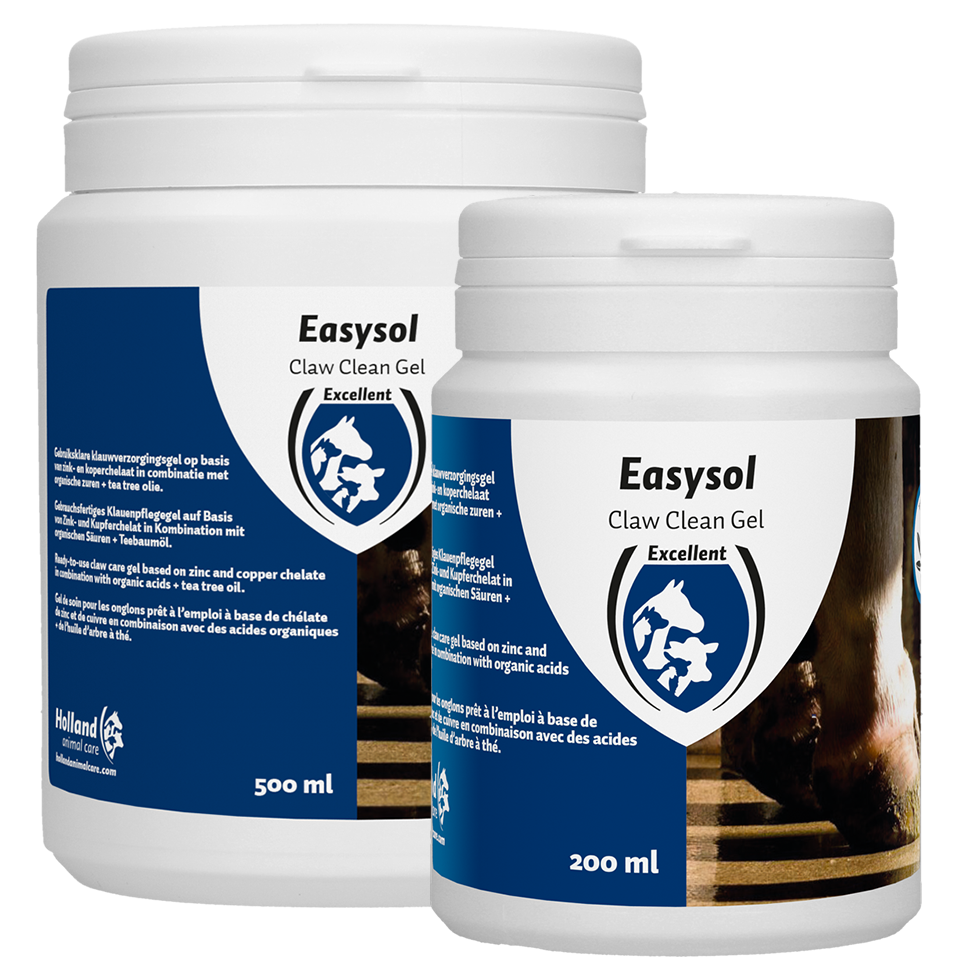 Easysol Clean Gel