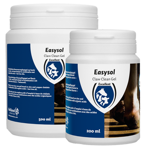 Easysol Clean Gel