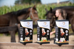Excellent Horse Healthy Box Luchtwegen