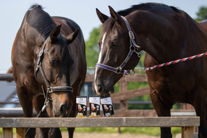 Excellent Horse Healthy Box Spijsvertering