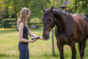 Excellent Horse Healthy Box Spijsvertering