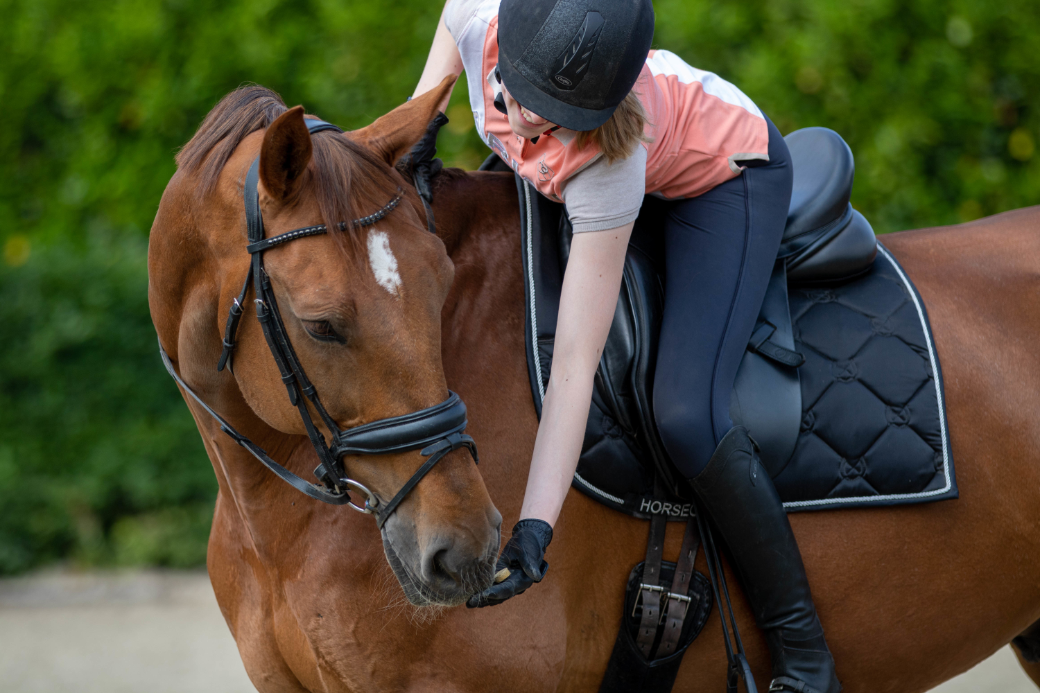 Excellent Horse Healthy Box Weerstand