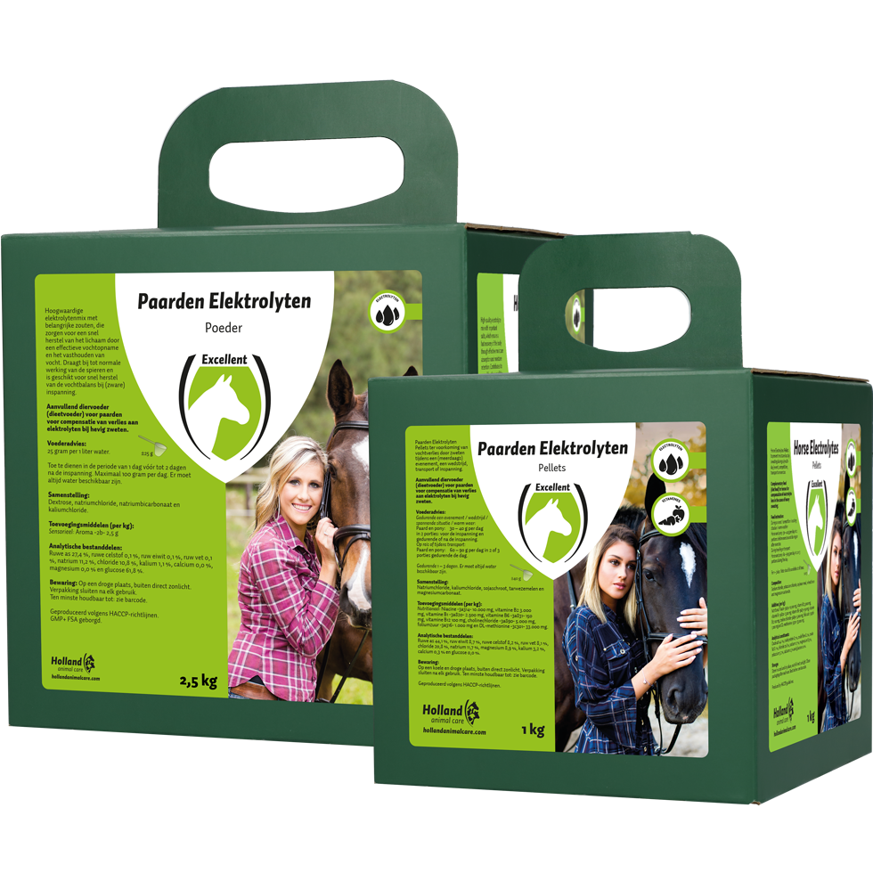 Horse Electrolytes Poeder met B2