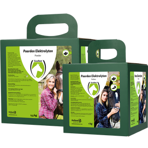 Horse Electrolytes Poeder met B2