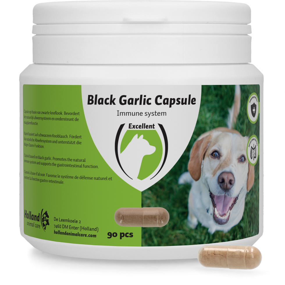 Black Garlic capsule Hond