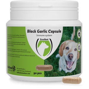 Black Garlic capsule Hond