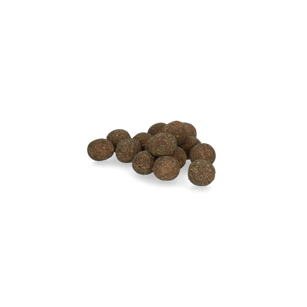 Pet Rewards Boilies chicken 15 mm