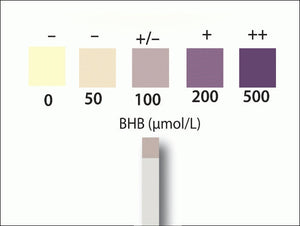 Slepende Melkziekte test Porta BHB