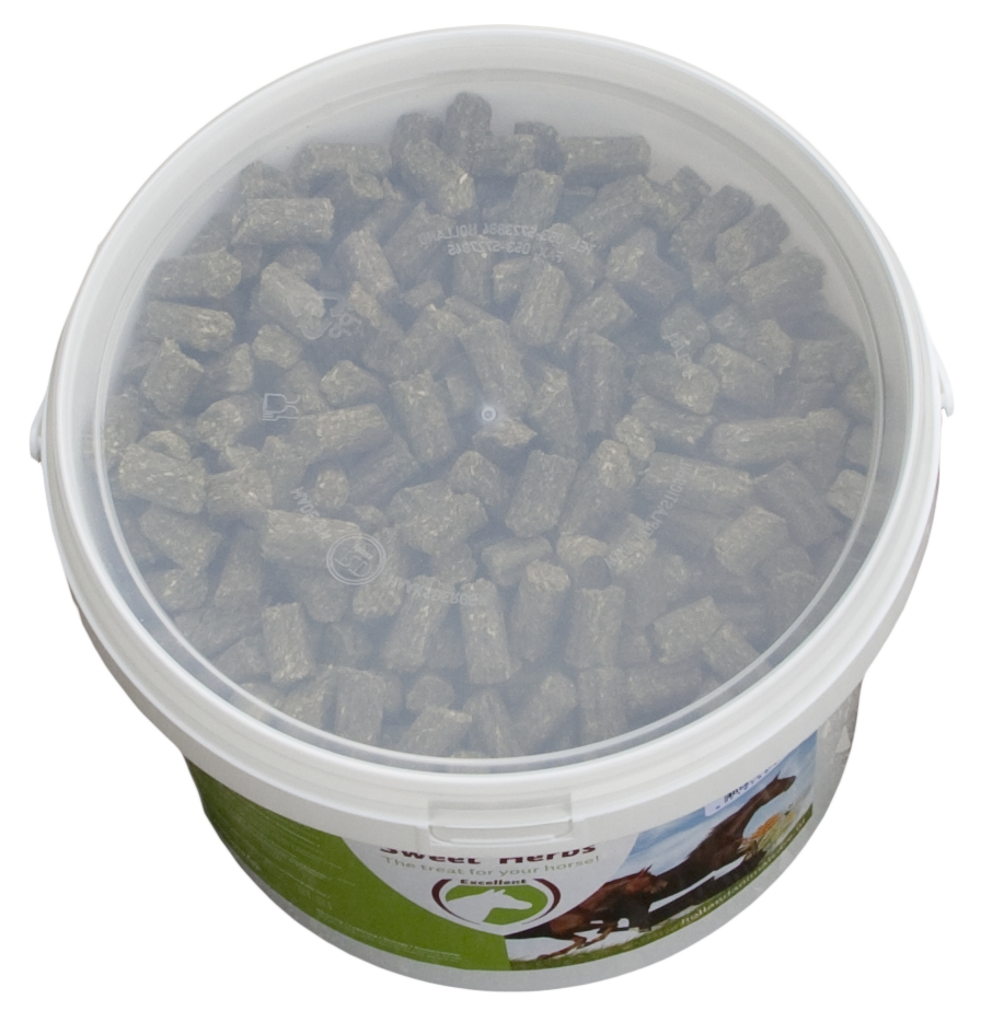 Sweet Herbs Bronchi Blocks