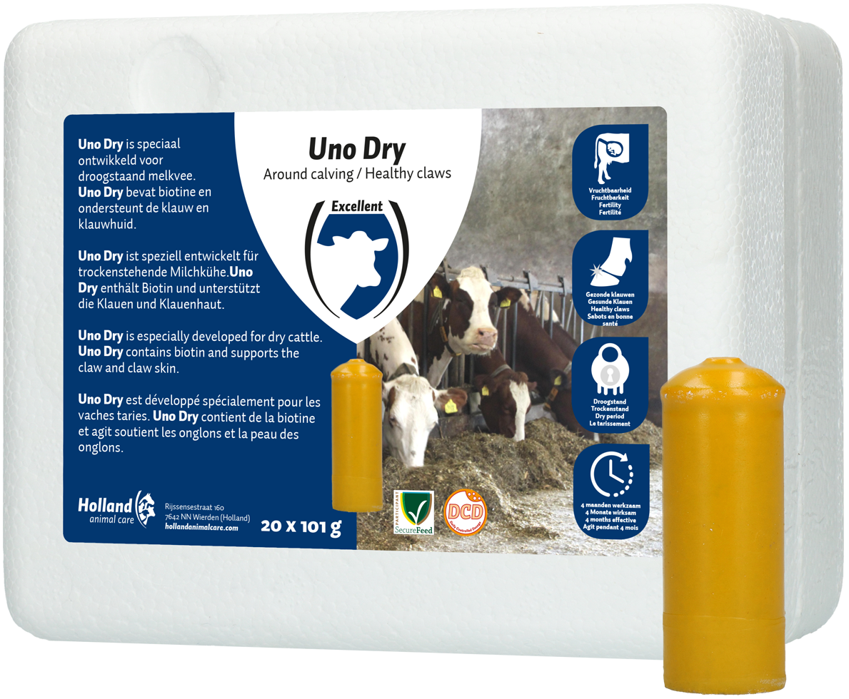 UNO Dry met Biotin